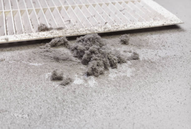 Best Air Vent Cleaning Services  in Fort Calhoun, NE
