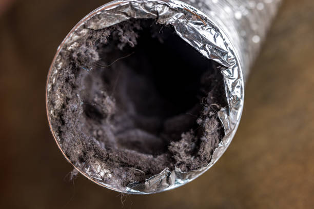 Best Air Duct Mold Removal  in Fort Calhoun, NE